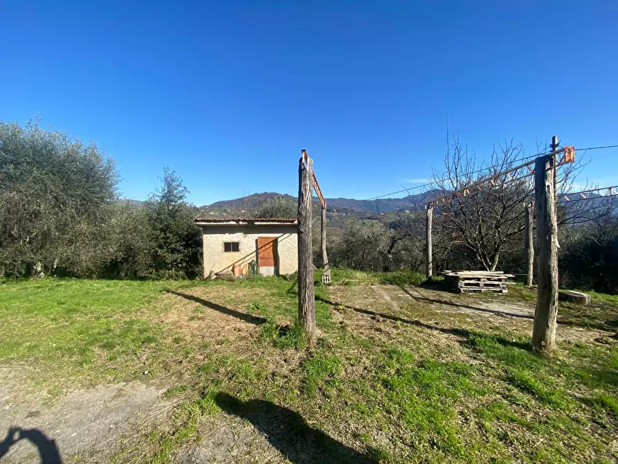 Immagine 9 di Rustico / casale in vendita  a Lucca