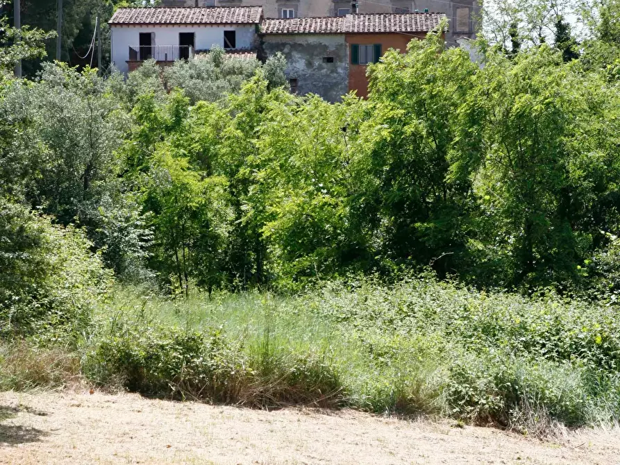 Immagine 30 di Villa in vendita  a Crespina Lorenzana