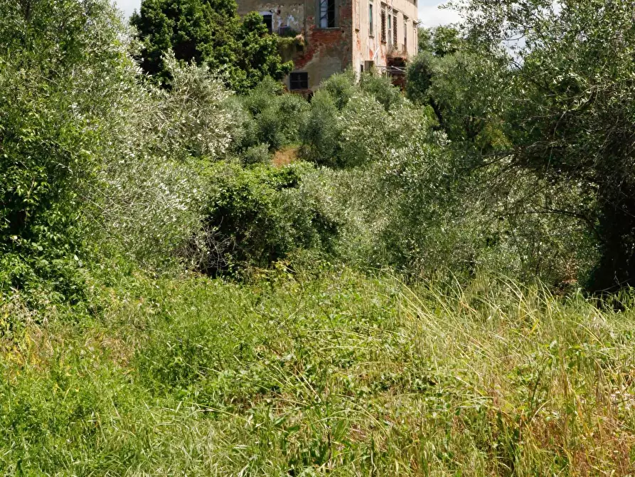 Immagine 29 di Villa in vendita  a Crespina Lorenzana