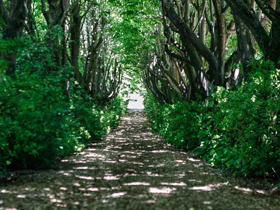 Immagine 2 di Villa in vendita  a Crespina Lorenzana