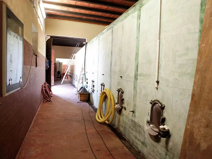 Immagine 27 di Villa in vendita  a Crespina Lorenzana