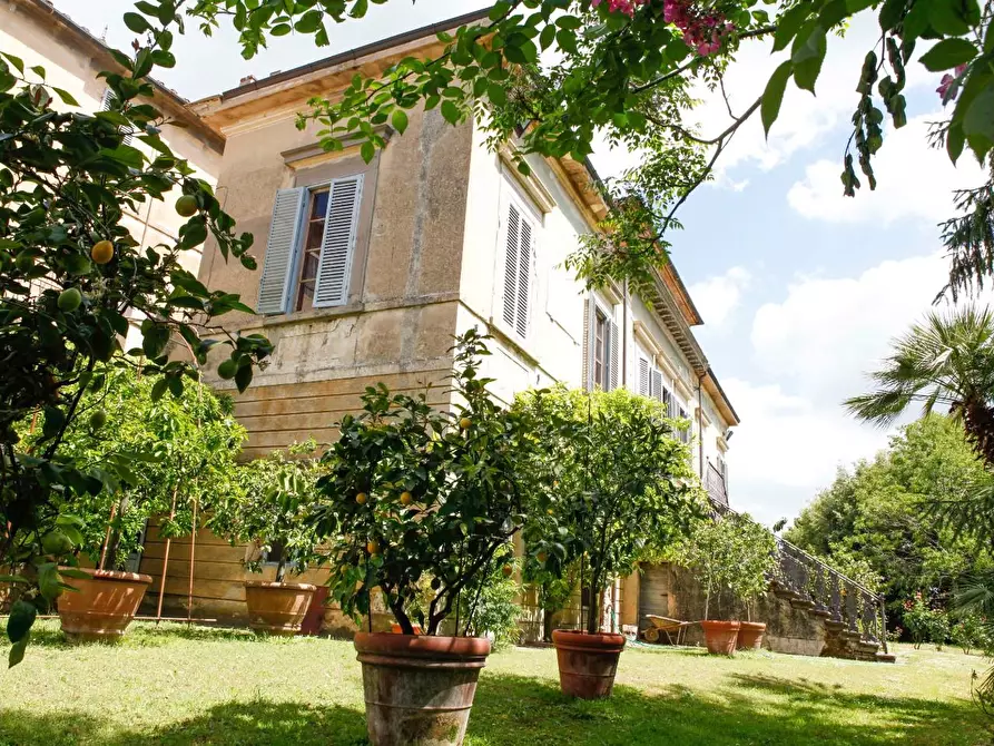 Immagine 4 di Villa in vendita  a Crespina Lorenzana