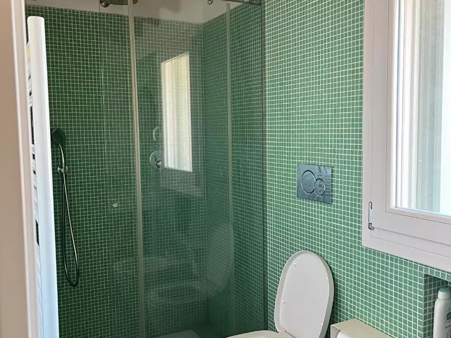 Immagine 7 di Appartamento in affitto  a Pisa