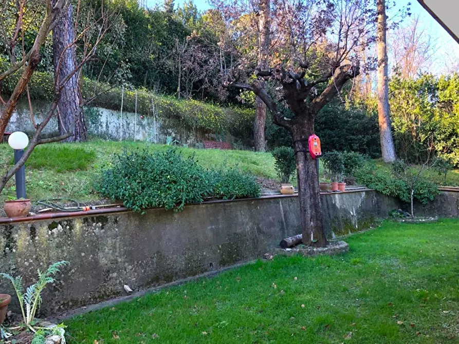 Immagine 19 di Villa in vendita  a Montelupo Fiorentino