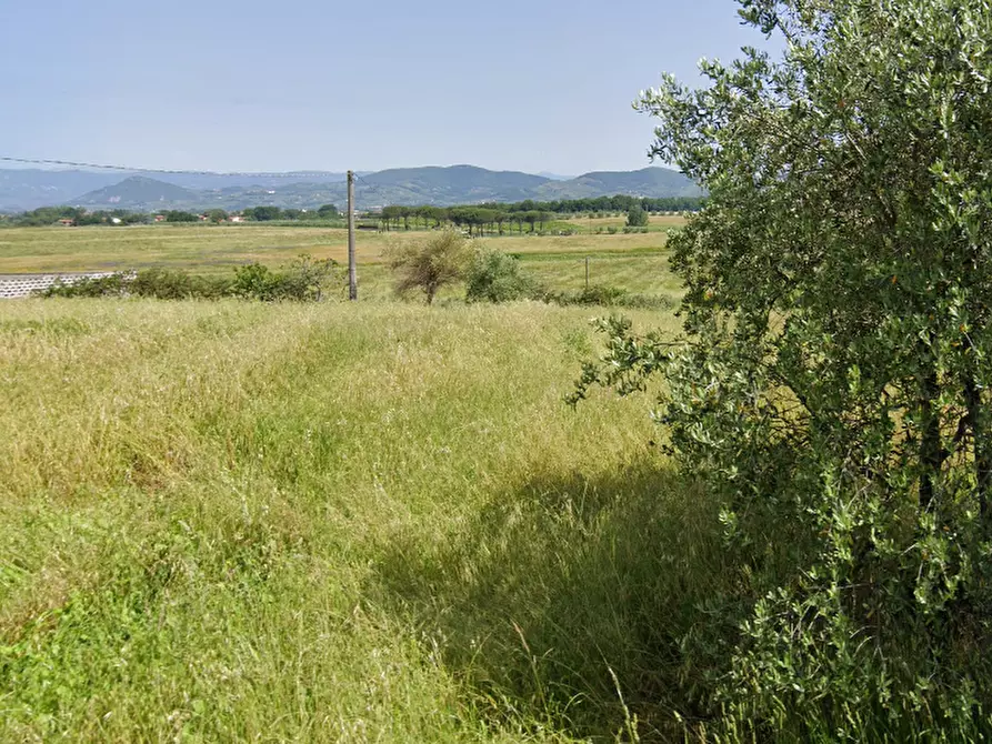 Immagine 3 di Terreno residenziale in vendita  a Lamporecchio