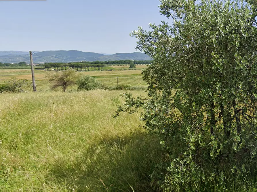 Immagine 2 di Terreno residenziale in vendita  a Lamporecchio