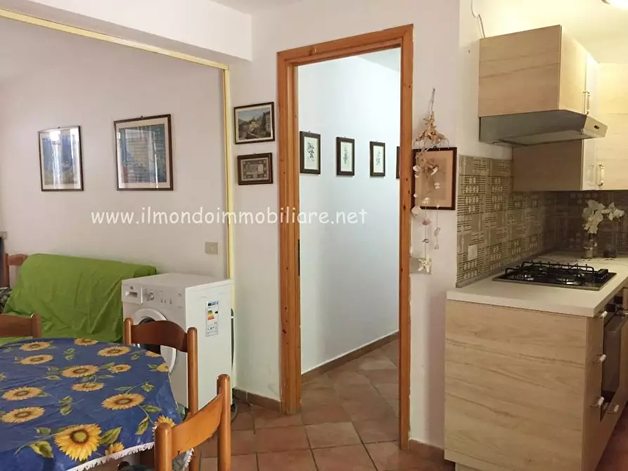 Immagine 11 di Appartamento in vendita  a Rosignano Marittimo