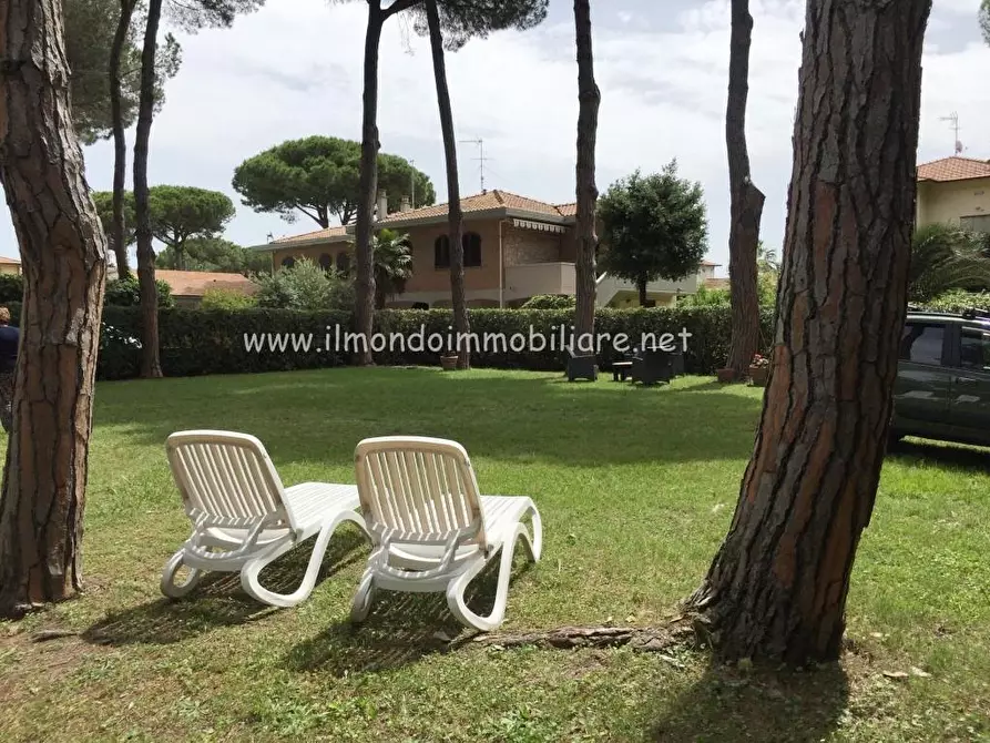 Immagine 4 di Appartamento in vendita  a Rosignano Marittimo