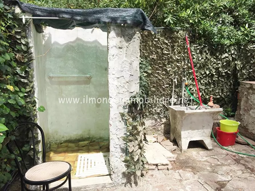 Immagine 15 di Appartamento in vendita  a Rosignano Marittimo