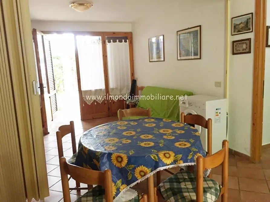 Immagine 9 di Appartamento in vendita  a Rosignano Marittimo