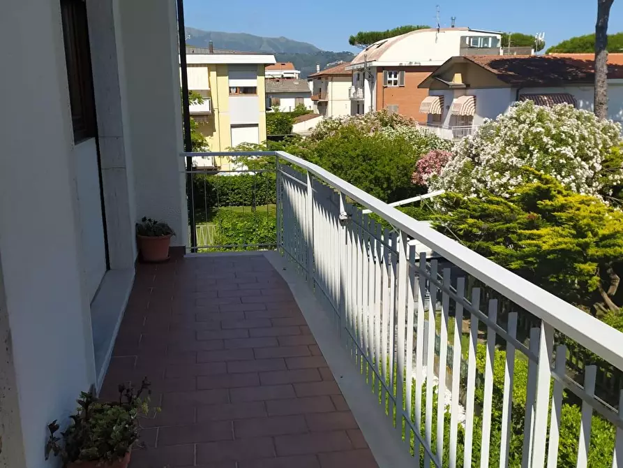 Immagine 3 di Appartamento in affitto  a Camaiore