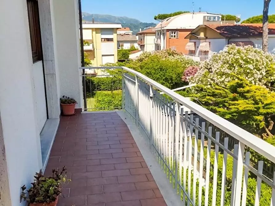 Immagine 8 di Appartamento in affitto  a Camaiore