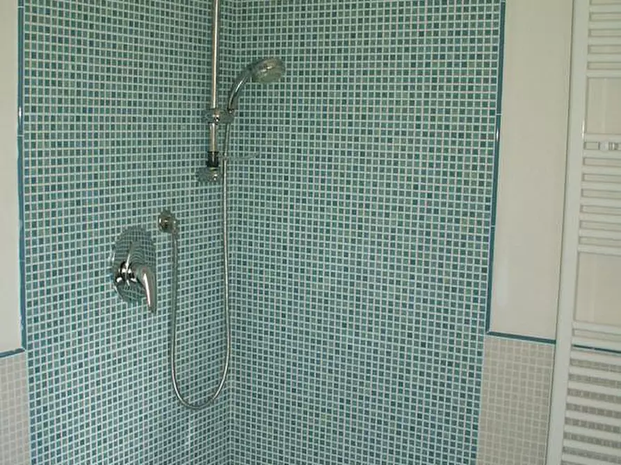 Immagine 3 di Appartamento in vendita  a San Giuliano Terme