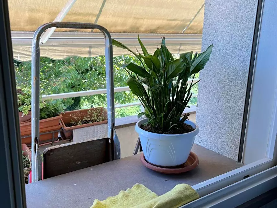 Immagine 2 di Appartamento in vendita  a San Giuliano Terme