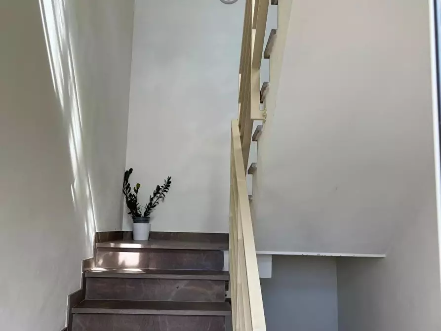 Immagine 15 di Appartamento in vendita  a San Giuliano Terme