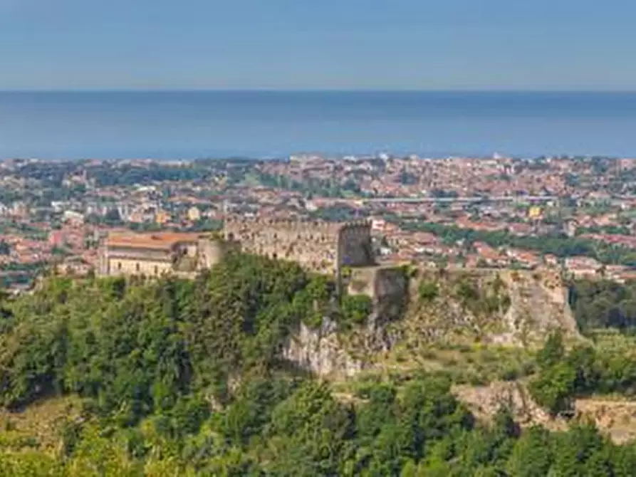 Immagine 2 di Bar / Ristorante in vendita  a Massa