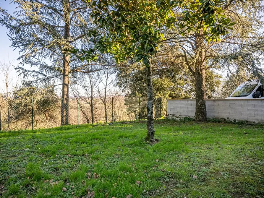 Immagine 7 di Casa indipendente in vendita  a Santa Maria A Monte