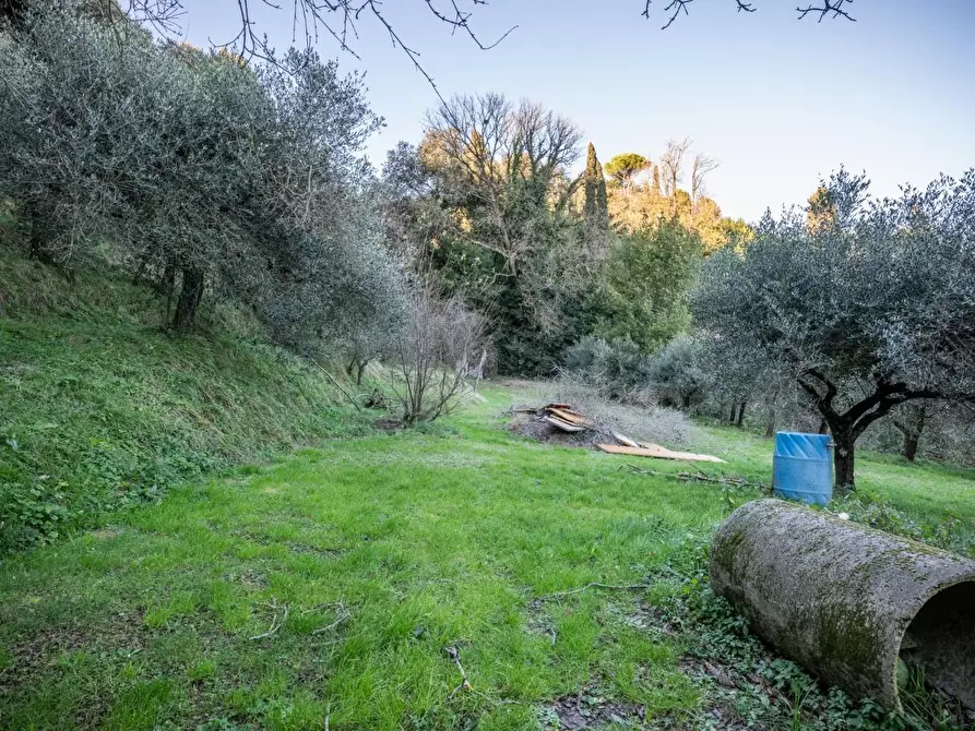 Immagine 6 di Casa indipendente in vendita  a Santa Maria A Monte