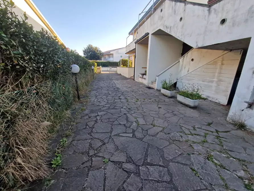 Immagine 3 di Appartamento in affitto  a Cecina