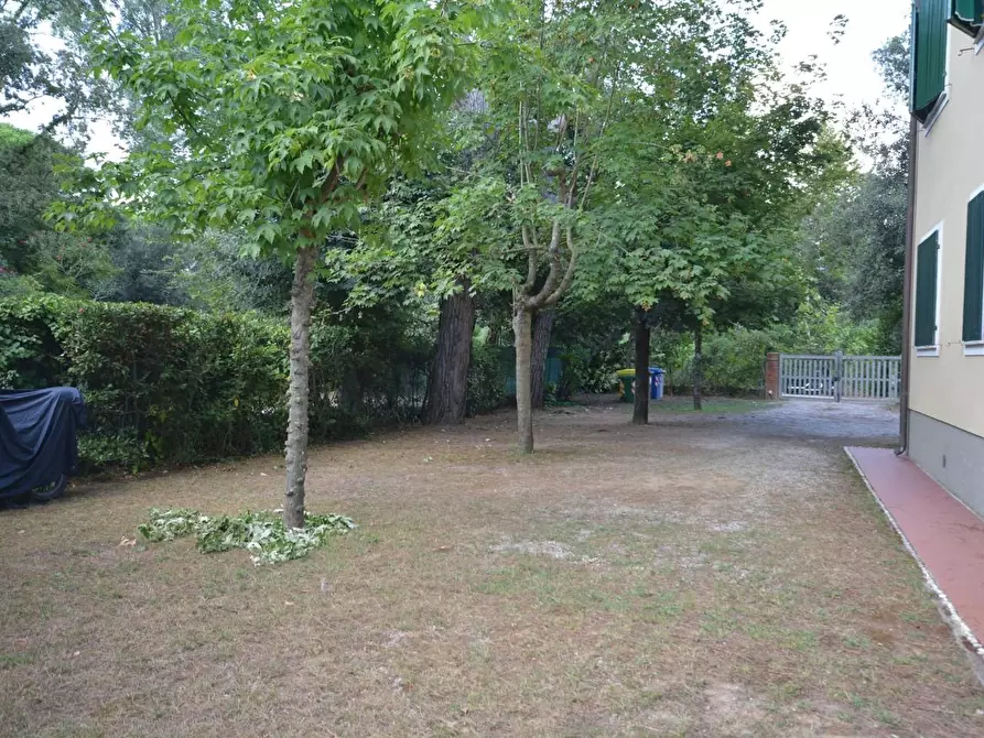 Immagine 13 di Appartamento in vendita  a Massa