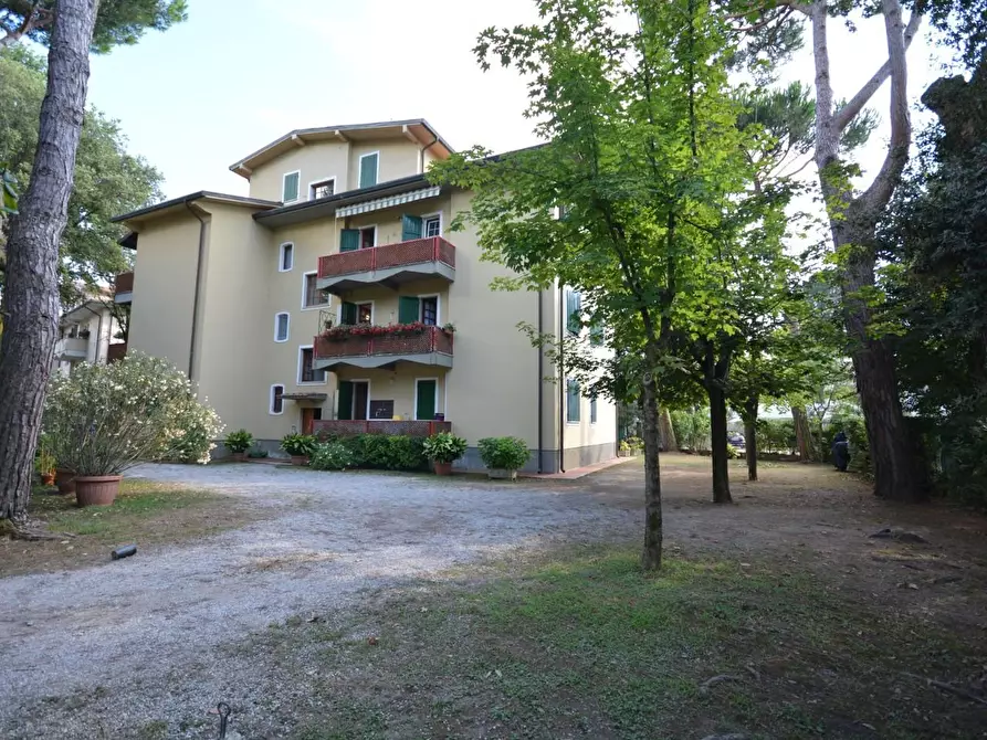 Immagine 12 di Appartamento in vendita  a Massa