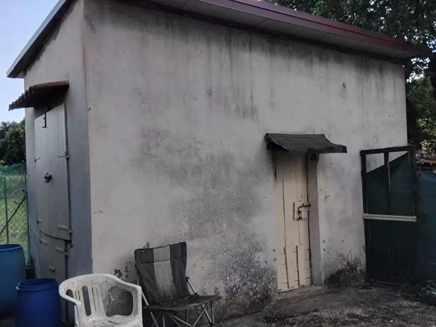 Immagine 6 di Terratetto in vendita  a Cerreto Guidi