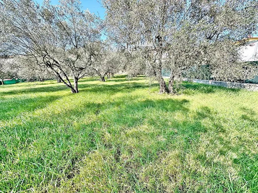 Immagine 20 di Terratetto in vendita  a Calenzano