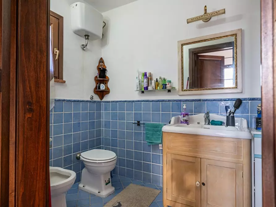 Immagine 29 di Villetta a schiera in vendita  a Crespina Lorenzana