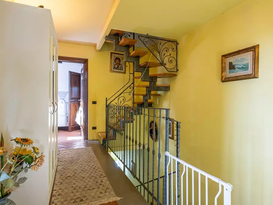 Immagine 23 di Villetta a schiera in vendita  a Crespina Lorenzana