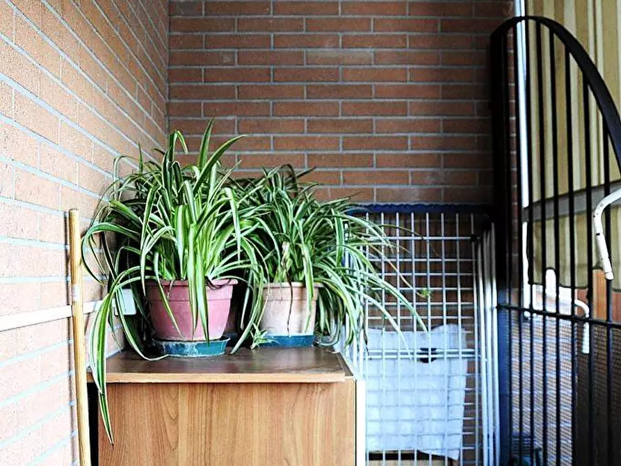 Immagine 13 di Appartamento in vendita  a Colle Di Val D'elsa