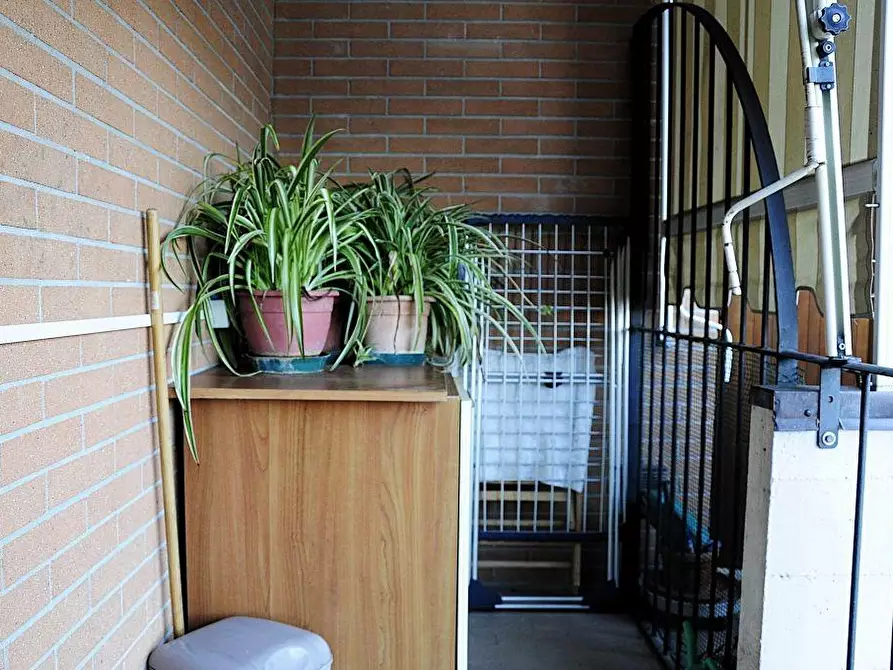 Immagine 12 di Appartamento in vendita  a Colle Di Val D'elsa