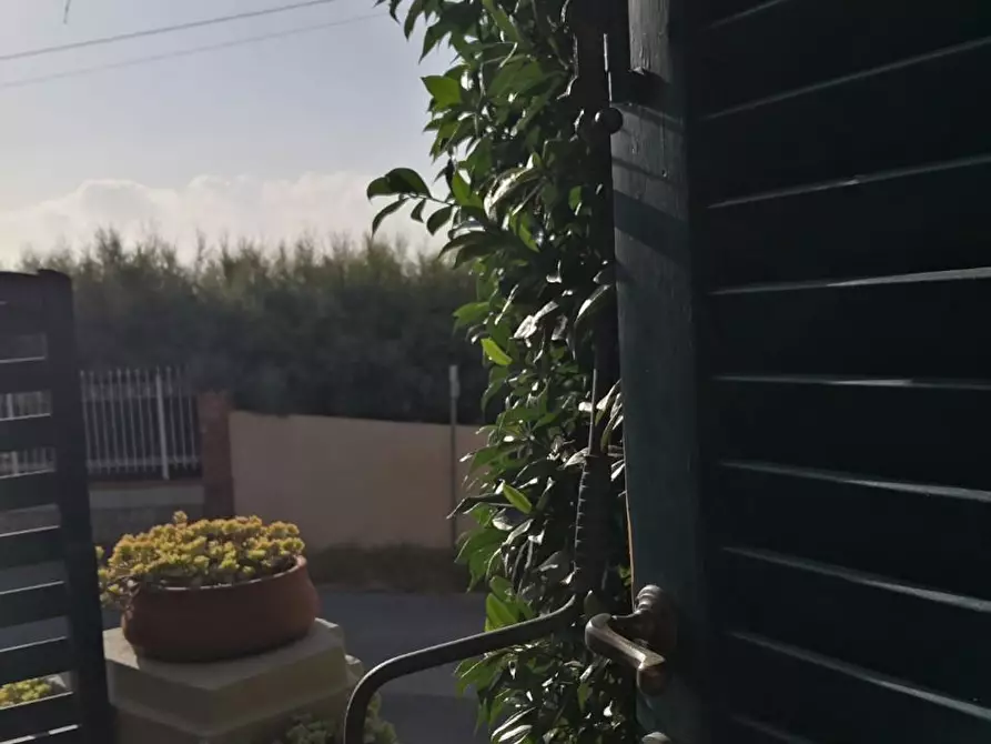 Immagine 17 di Appartamento in vendita  a Livorno