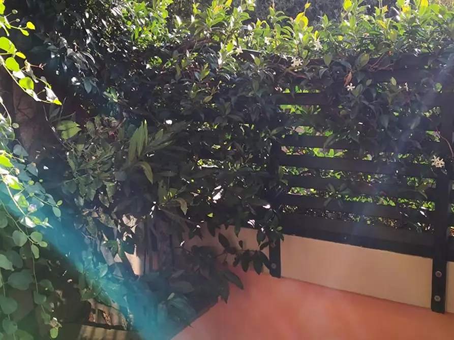 Immagine 16 di Appartamento in vendita  a Livorno