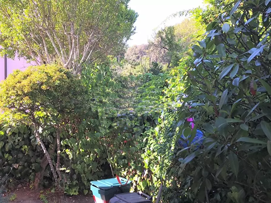 Immagine 6 di Appartamento in vendita  a Livorno