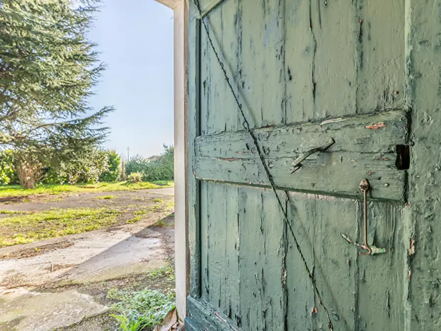 Immagine 25 di Palazzo in vendita  a San Giuliano Terme