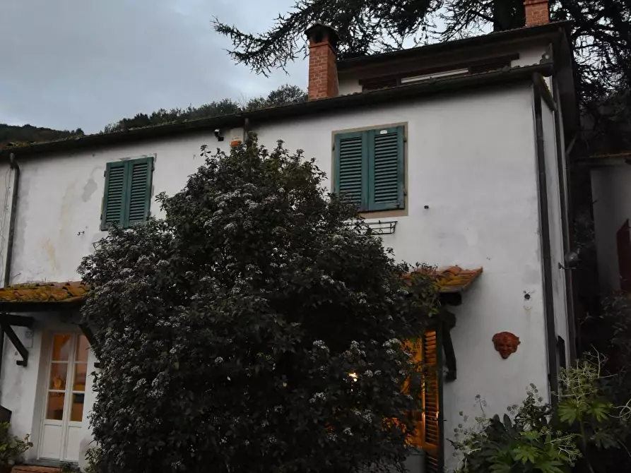 Immagine 35 di Terratetto in vendita  a Massarosa