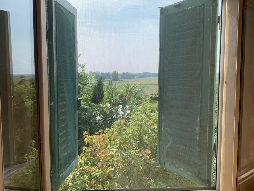 Immagine 18 di Terratetto in vendita  a Massarosa