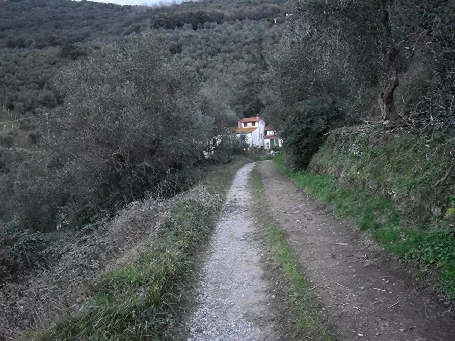 Immagine 32 di Terratetto in vendita  a Massarosa