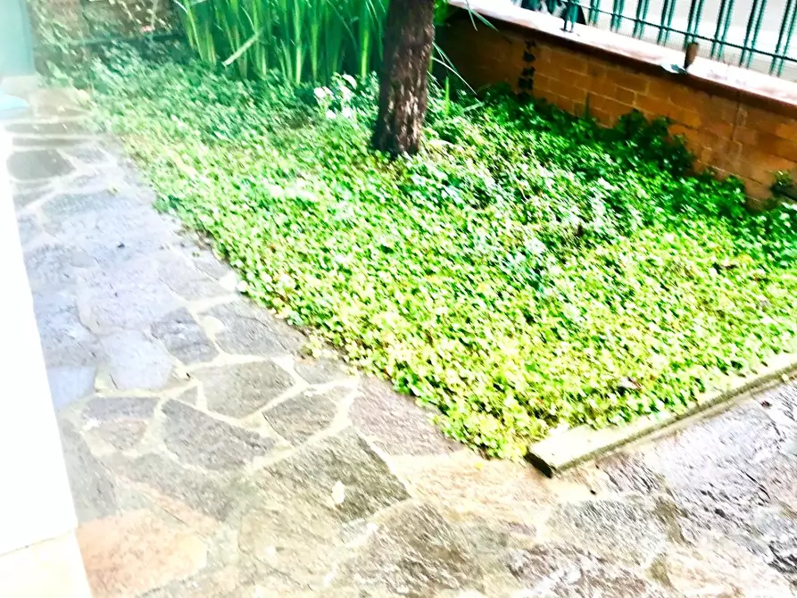 Immagine 6 di Appartamento in vendita  a Empoli