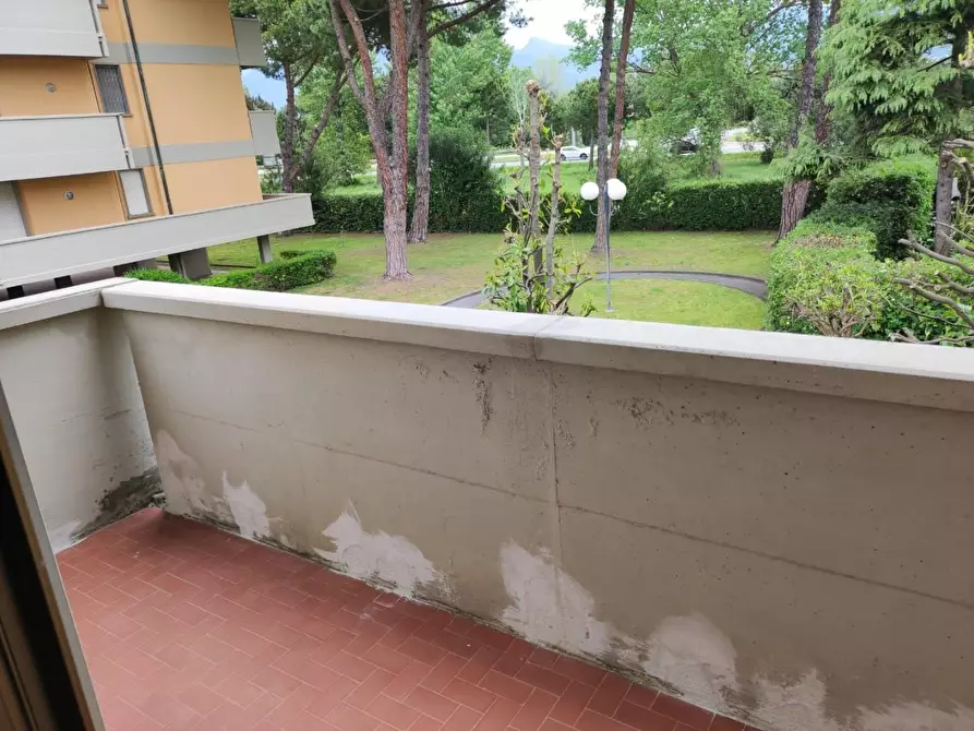 Immagine 18 di Appartamento in vendita  a Viareggio