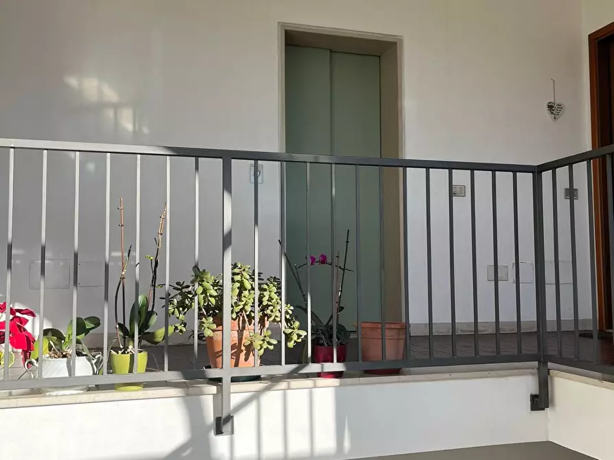 Immagine 19 di Appartamento in vendita  a Casciana Terme Lari