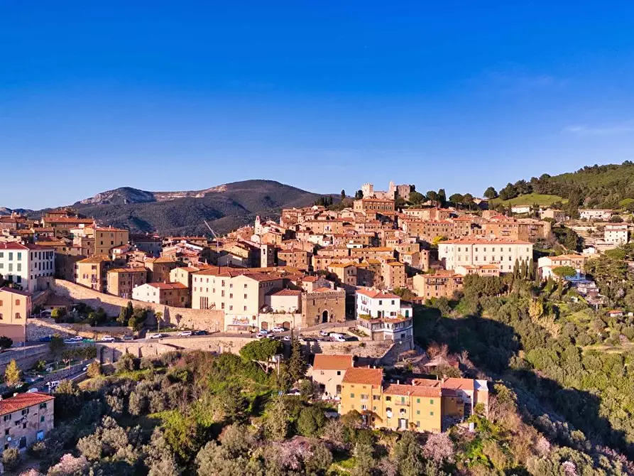 Immagine 20 di Appartamento in vendita  a Campiglia Marittima