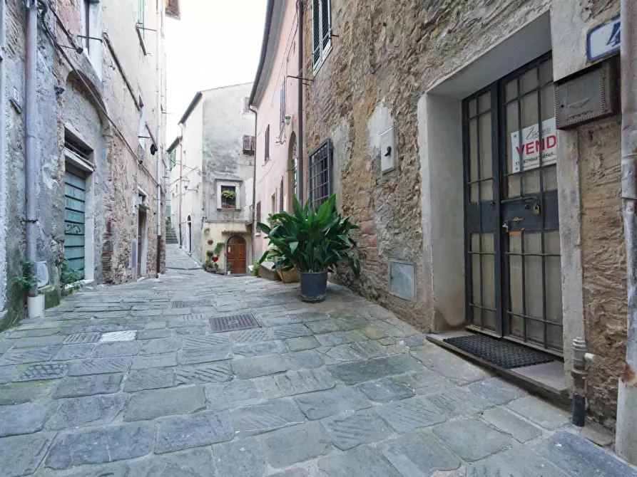 Immagine 19 di Appartamento in vendita  a Campiglia Marittima