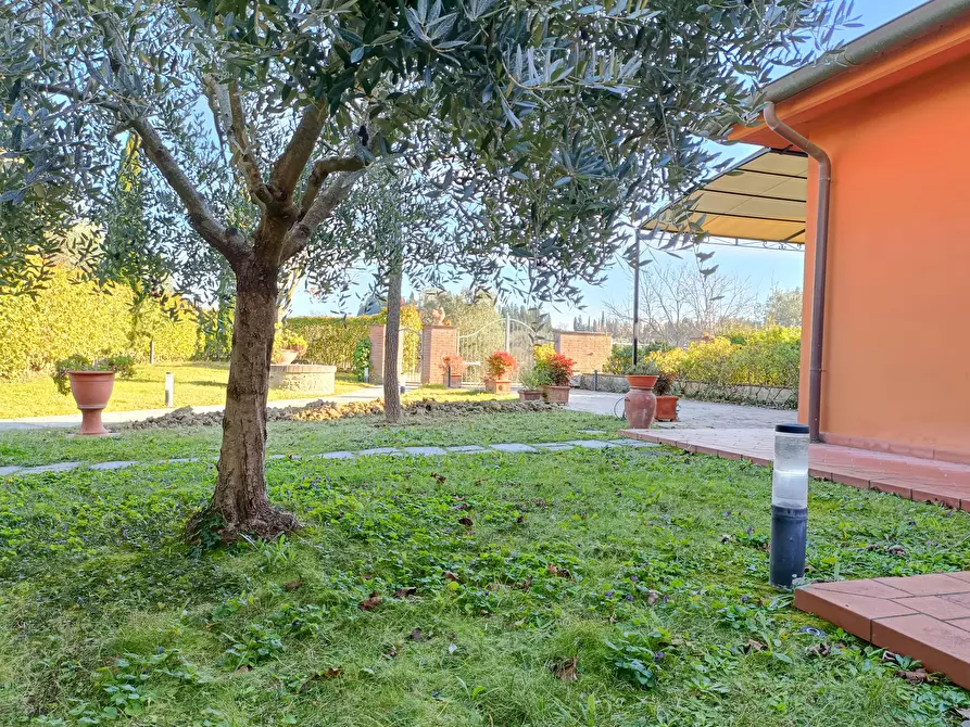 Immagine 42 di Appartamento in affitto  a Montelupo Fiorentino