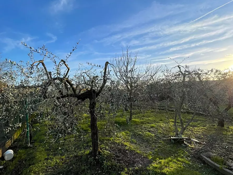 Immagine 23 di Appartamento in vendita  a Fucecchio