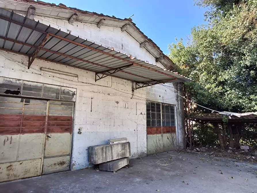 Immagine 6 di Attività artigianale in vendita  a Capannori