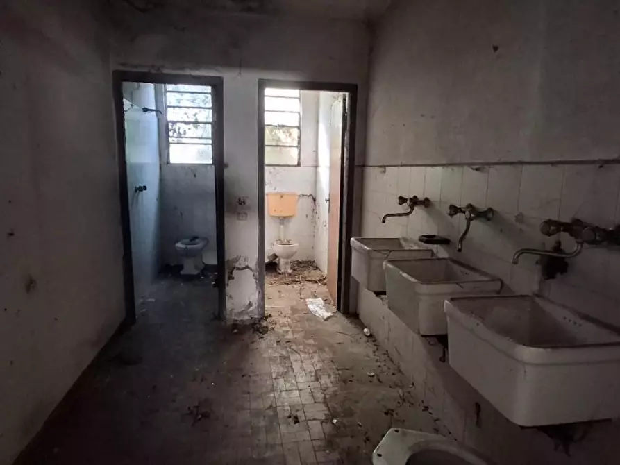 Immagine 8 di Attività artigianale in vendita  a Capannori