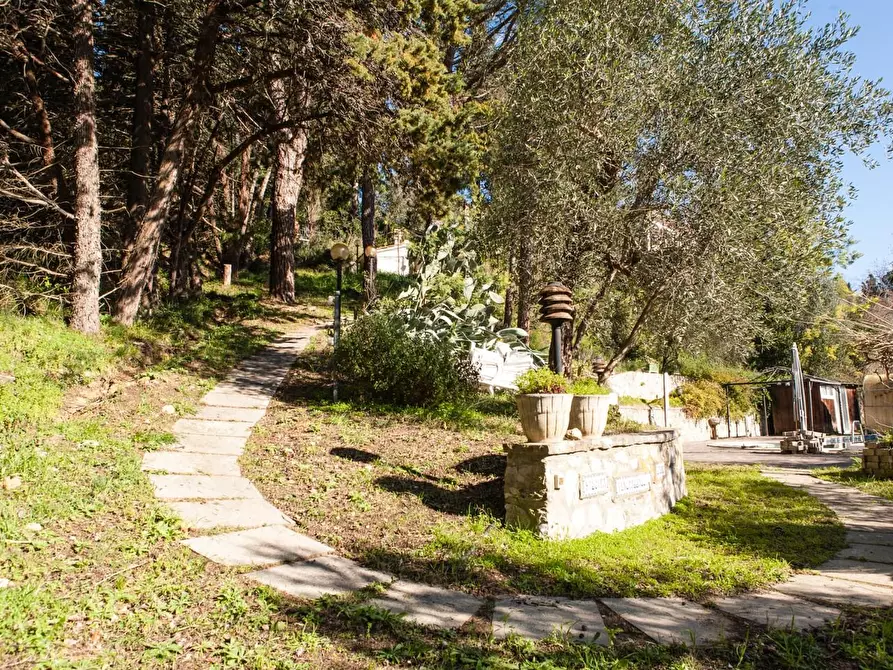 Immagine 18 di Casa indipendente in vendita  a Casciana Terme Lari