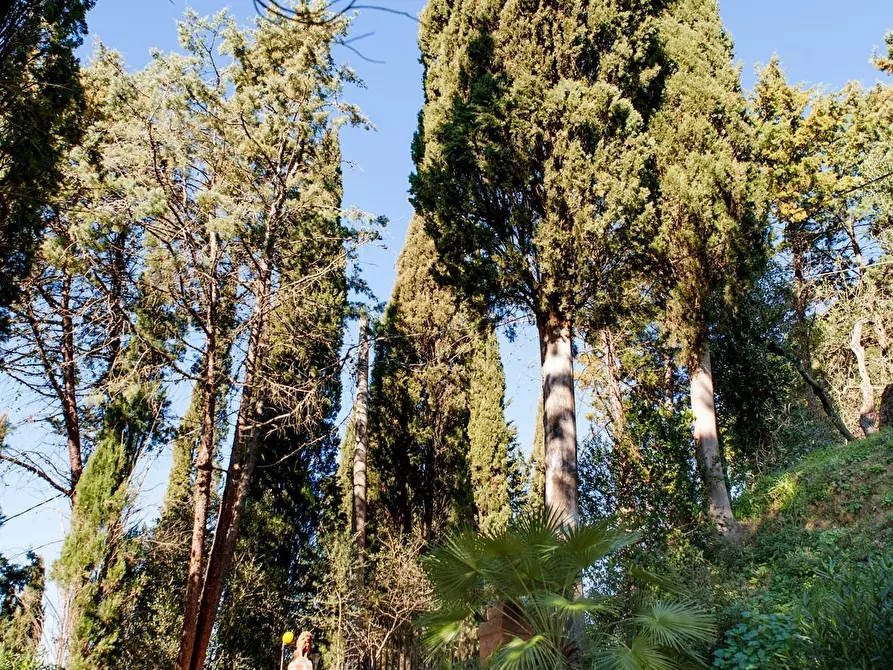 Immagine 24 di Casa indipendente in vendita  a Casciana Terme Lari