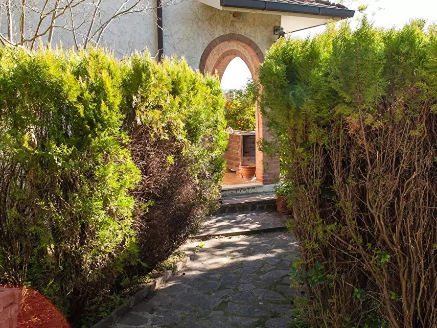 Immagine 3 di Casa indipendente in vendita  a Casciana Terme Lari